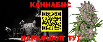 прущие крисы Будённовск