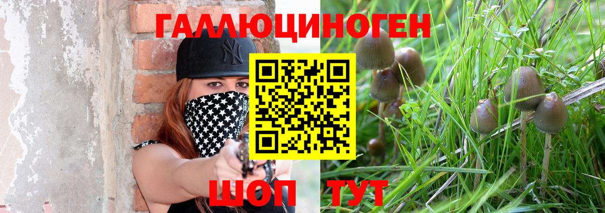 Псилоцибиновые грибы Psilocybe Моздок