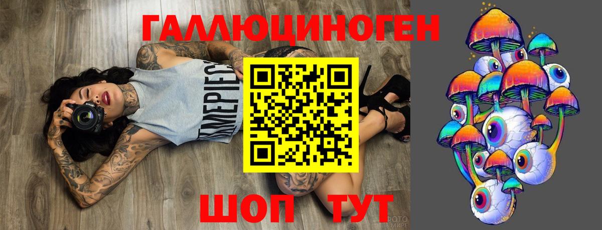 Галлюциногенные грибы Psilocybe  Вход с VPN  Моздок 